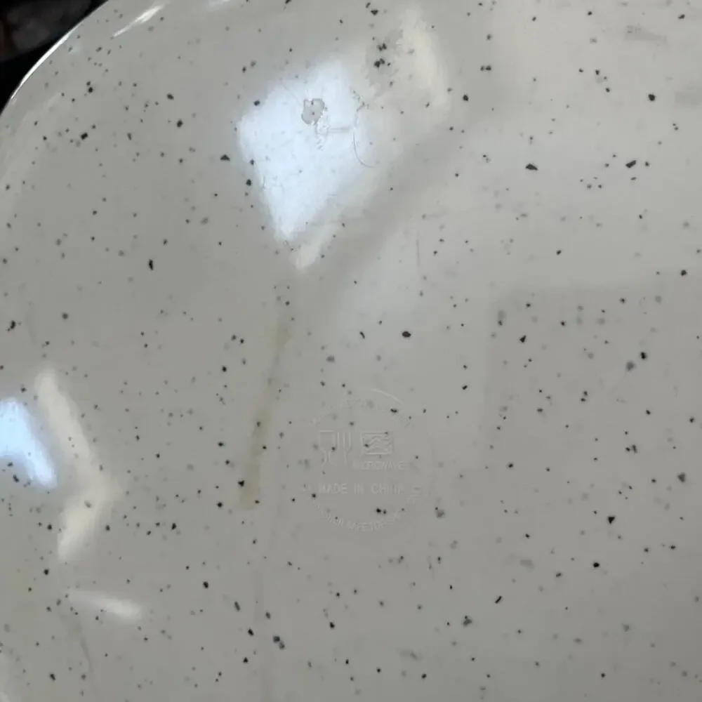 West Elm Seaside Melamine Blue Speckle Dinner Plates 10.5